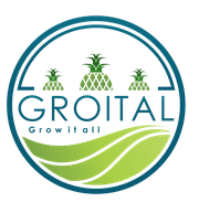 Groital